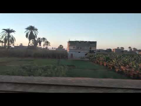 مرور قطار88 المتجه الى اسوان بقرية السمطا مركز البلينا محافظة سوهاج