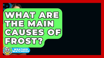 What Are The Main Causes Of Frost? - Weather Watchdog