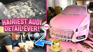 Deep Cleaning The HAIRIEST Audi TT EVER | EXTREME Dog Hair Removal | Satisfying Car Detailing