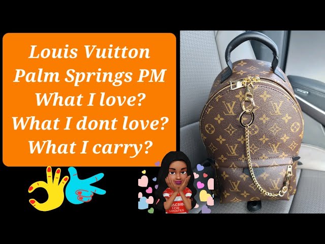 Louis Vuitton Palm Springs PM vs 2020 Montsouris PM, Which Is