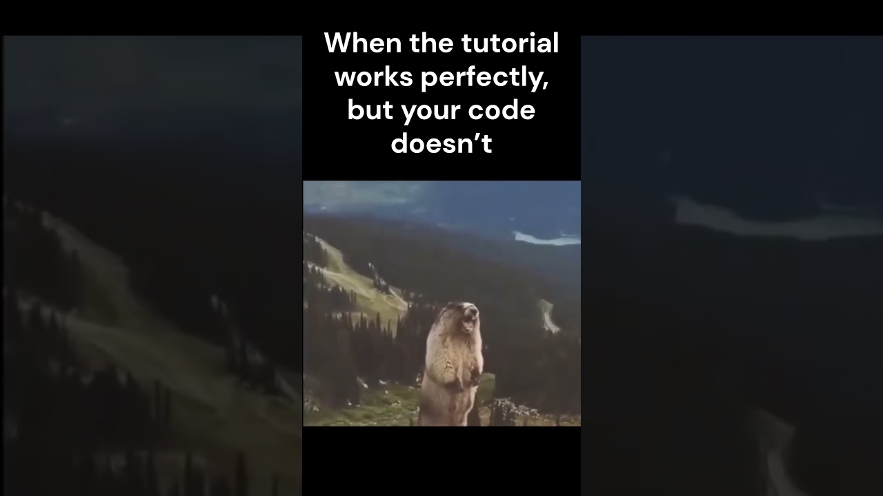 When tutorial works perfectly but your code doesn't