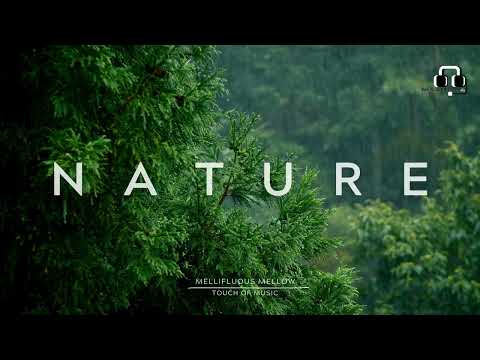 NATURE RAIN | Amazing Rain Sound | Relaxing music | Calm | Stress relief