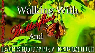 Walking with Butterflies and Backcountry Exposure (Day Hike) TWGR
