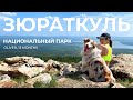 Хребет Зюраткуль с собакой | Южный Урал | Первый поход с аусси