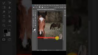quick mask mode in photoshop