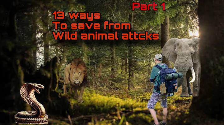 13 tips on how to survive wild animal attacks