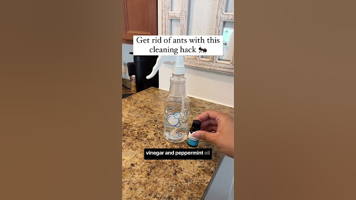 Cleaning hack to get rid of ants