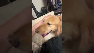 IMG 3655