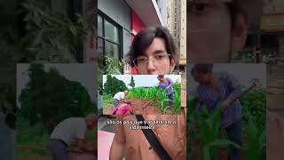30 milhões de homens na China nunca vão casar ! #china #natalidad
