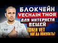 VeChain Thor блокчейн для интернета вещей / Токен Vet когда покупать?