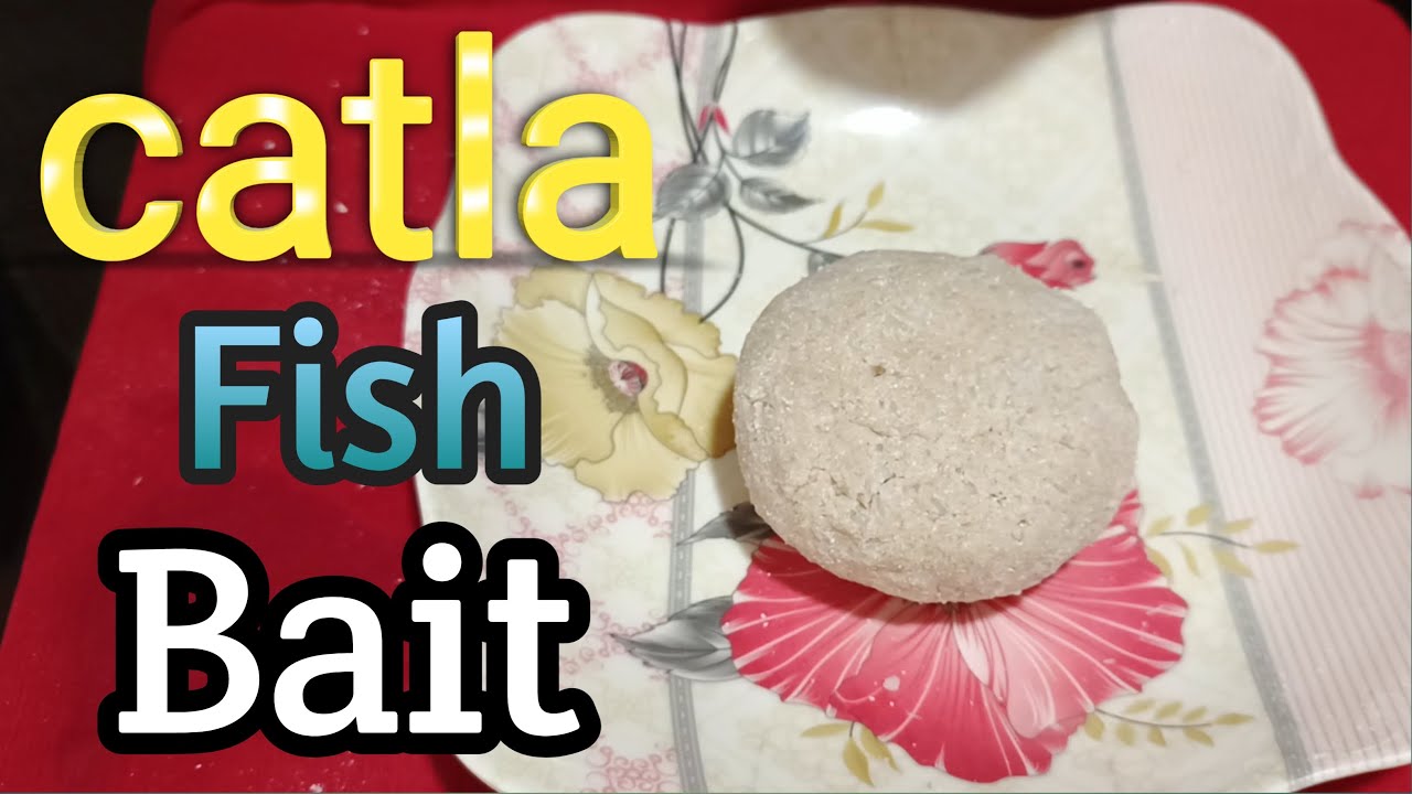 Catla fish bait