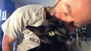 Helpful sewing cat (Sew Like A Pro: Backpack Tutorial addendum)