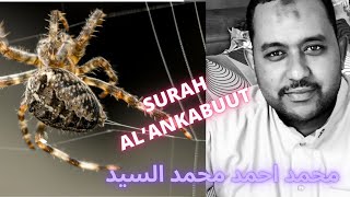 Surah AL AN'KABUUT (29) سورة العنكبوت‎ BY Shaykh Muhammad Ahmad Muhammad محمد أحمد محمد السيد