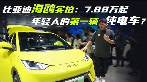 比亚迪海鸥实拍：7.88万起，年轻人的第一辆纯电车？ - 天天要闻