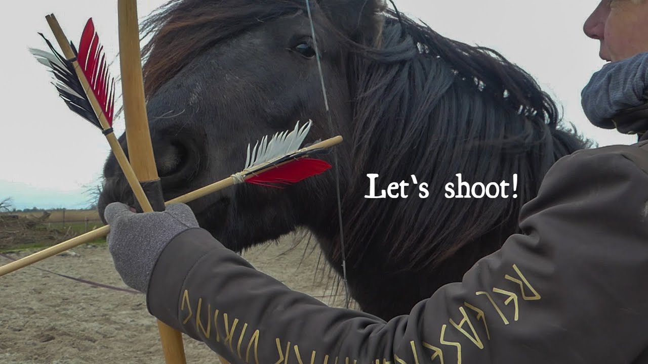 Preparing my horse for horsebackarchery