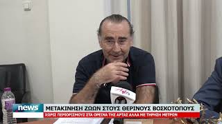 ΚΕΝΤΡΙΚΟ ΔΕΛΙΟ 11-6-2026