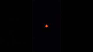 We are fortunate ~ ShreeGarun #enlightenment #samadhi #spiritualism #turiya