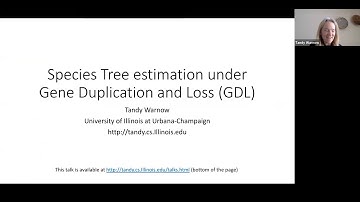 New methods for large-scale species tree estimation addressing GDL