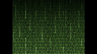 07.02 Causation and the Flow of Information – Beyond Networks: The Evolution of Living Systems