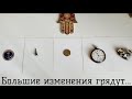 Большие изменения грядут👁‍🗨Выберите карту🍀