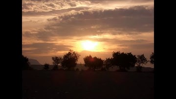 سورة العنكبوت 2 II الشيخ أبوبكر مومني صلاة القيام ليلة 17 رمضان 1440 هـ