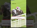 1-33! Juddmonte colt makes racing history