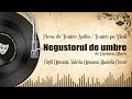 Negustorul de umbre  carmen olaru  teatru pe vinil