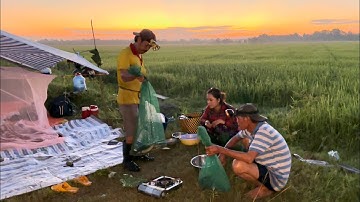 Cá lóc đồng chiên tươi rau luộc chấm chao kết thúc chuyến đi cắm câu bẩy chuột đường mòn VXĐ # 471