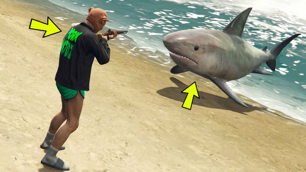GTA 5 ONLINE SHARK ATTACK VS HUMAN LTS DAJE YouTube 
