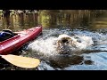 UNMÖGLICH diesen WILDEN FISCH zu fangen? (wir versuchen es trotzdem )