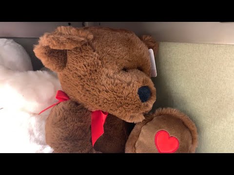 What Do Stuffed Teddy Bears Say On The Grocery Store Shelf?