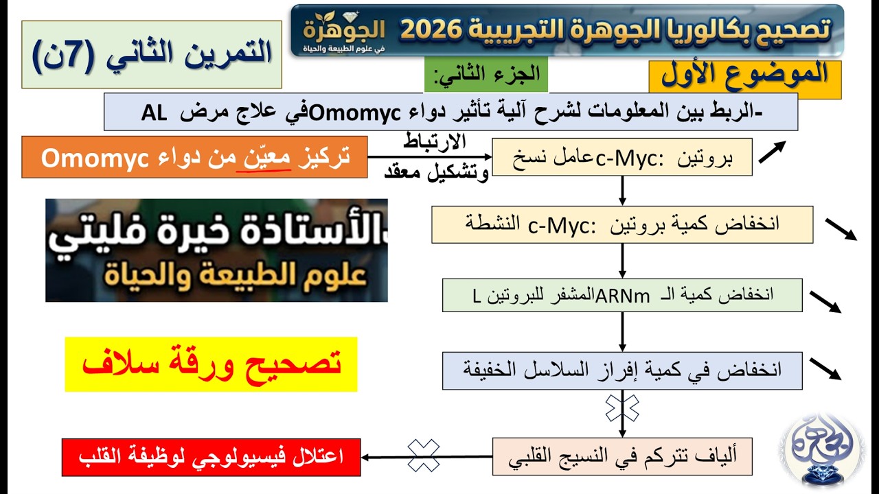 مناقشة الجزء الثاني من تمرين مرض AL وتصحيح ورقة سولاف