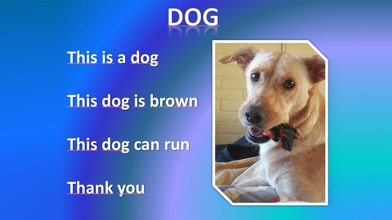 Descripcion De Mi Mascota Preferida En Ingles www.youtube.com