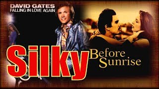 David Gates - Silky (HQ)