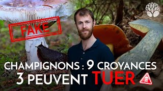 9 croyances populaires sur les champignons, dont 3 qui peuvent vous TUER !