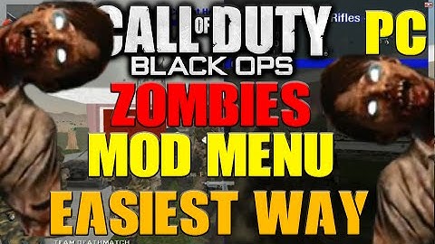 Black Ops Zombies Mod Menu Tutorial [EASIEST WAY] [PC]