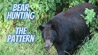 Bear Hunting | The Pattern Revealed