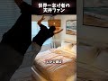 世界一怠け者の天井ファン 😂