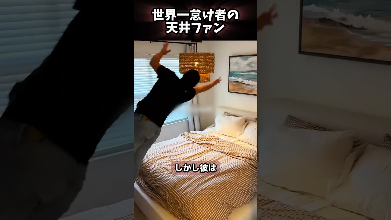 世界一怠け者の天井ファン 😂