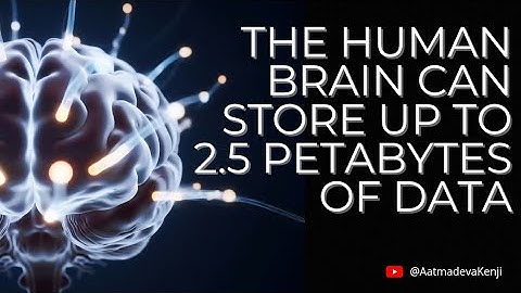 Your Brain Can Store 2.5 Petabytes?! | Mind-Blowing Human Brain Facts #facts   #uniquefact #science 