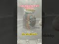 Today Mahakal Bhasm Aarti Live Darshan #shorts #viralshorts #trending #mahakal