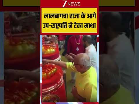Viral Video: लालबागचा राजा के आगे उप-राष्ट्रपति ने टेका माथा #viralvideo #viralshorts #viralreels