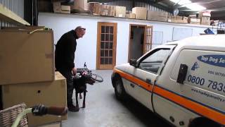 KICHE K9 TRAINING: Security Dog. Mixed exercise. Surveillance, agresion balance and focus.