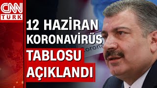 12 Haziran Koronavirüs tablosu ve vaka sayısı Sağlık Bakanlığı tarafından açıklandı!