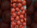 Дешёвые и Вкусные помидоры из Ашана