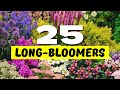  top 25 best longest blooming perennial flowers  blooms that never quit 