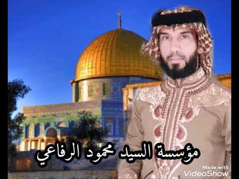 جديد المداح الشيخ حمزة المسعودي القدس نادت