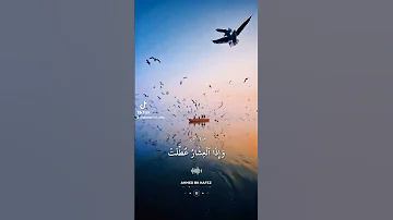 سورة التكوير بصوت الشيخ حامد علي زاده بدون موثرات 