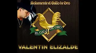 Valentin Elizalde POPURRI LA YAQUESITA LA PLAYA HAY UNOS OJOS Valentin Elizalde POPURRI LA YAQUESITA LA PLAYA HAY UNOS OJOS