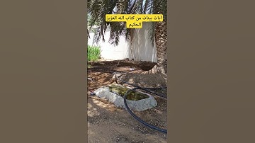 آيات بينات من كتاب الله العزيز الحكيم الغفور الرحيم...